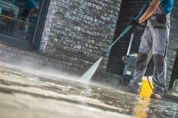 Animal Enclosure Cleaning in Frankfort, IL