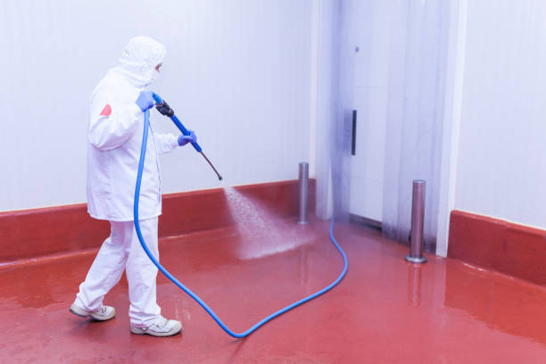 Reliable Frankfort, IL Pressure Washing Services Solutions